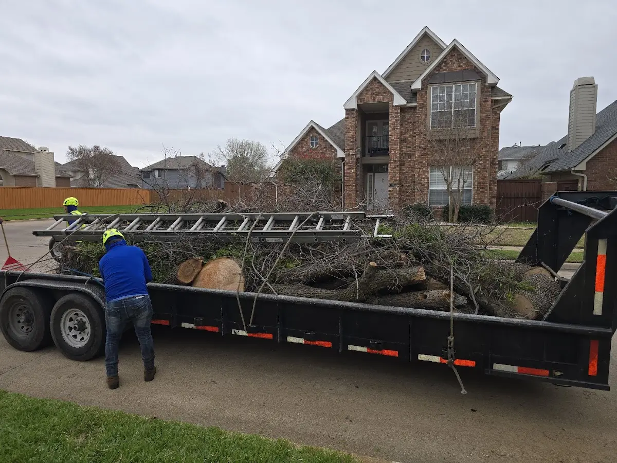 Expert Lot Clearing with proper safety equipment in Mingo